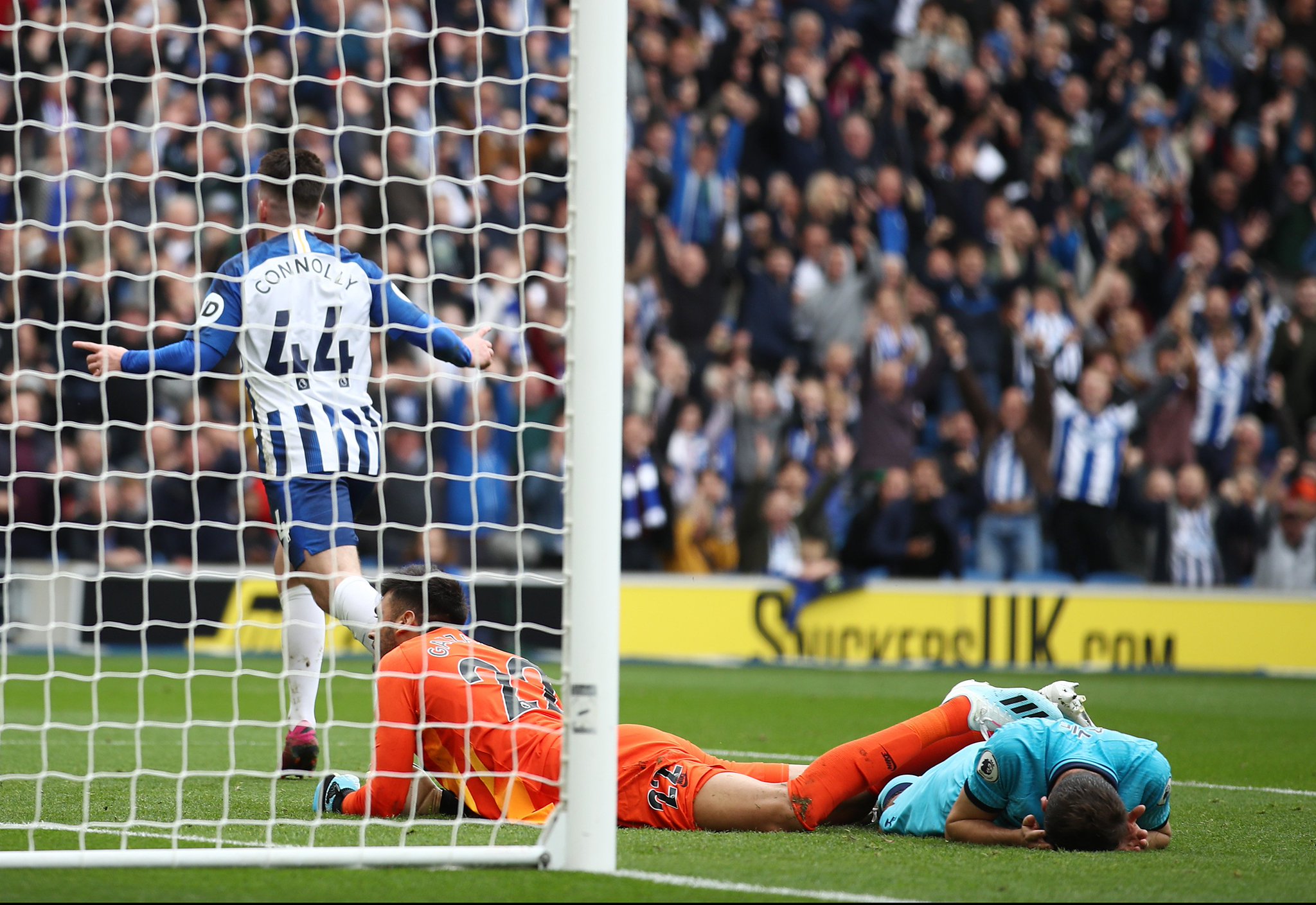 期组织地震 期组织地震